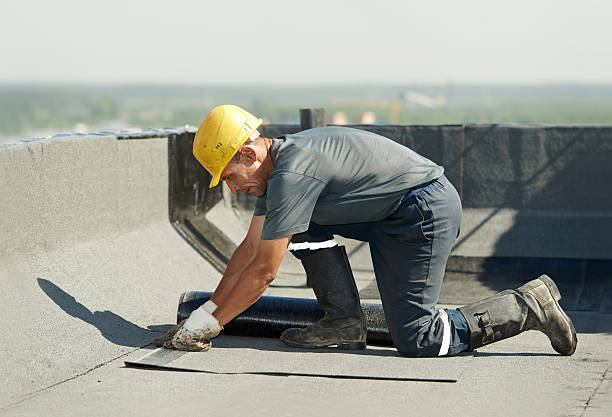 Best Cellulose Insulation  in Galax, VA